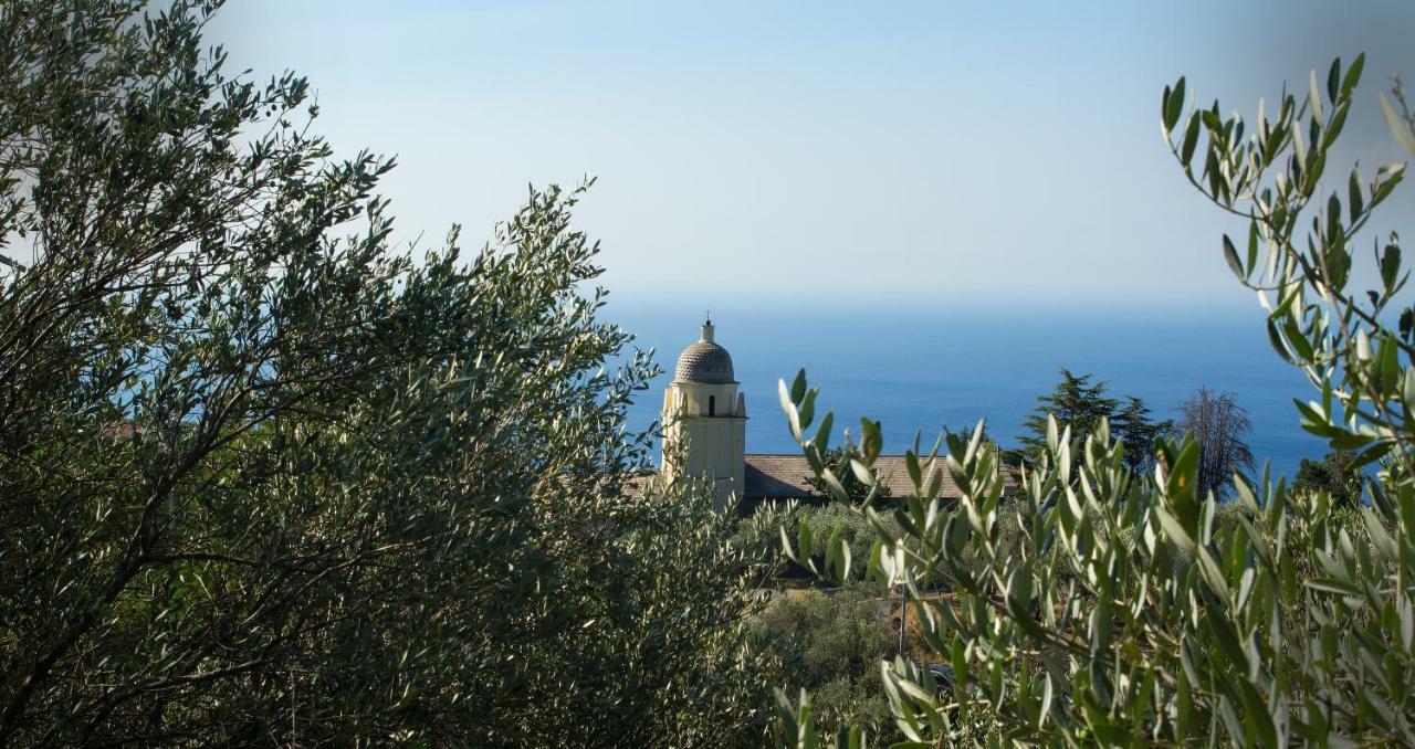 The Garden Villa Volastra Exterior foto